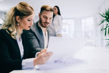 İş arkadaşları ofiste çalışıyor.