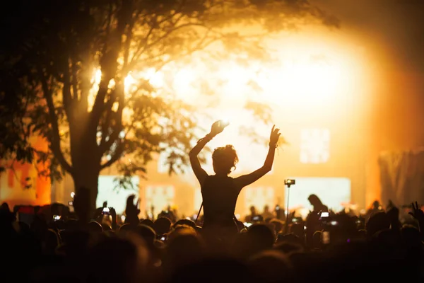 Crowd enjoying music festival — Stock Photo, Image