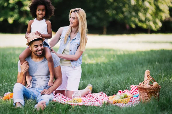 Семья веселится на пикнике — стоковое фото
