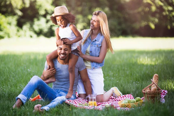 Семья веселится на пикнике — стоковое фото