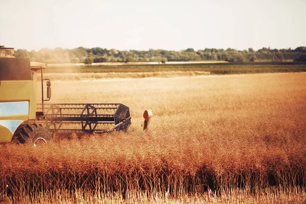 Сельскохозяйственная машина работает в полевых условиях — стоковое фото