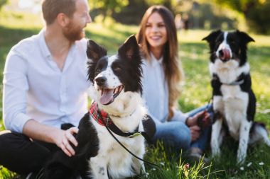 Güzel çift sarılmış köpekler