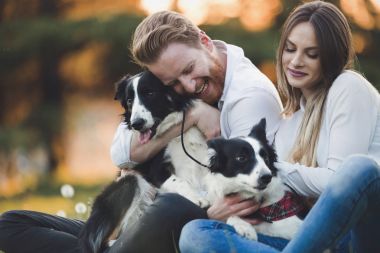 Güzel çift yürüyüş köpekler