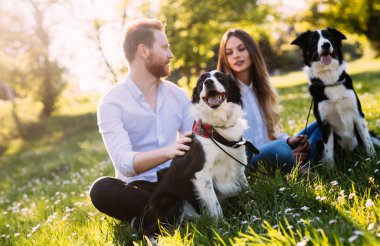 Güzel çift yürüyüş köpekler