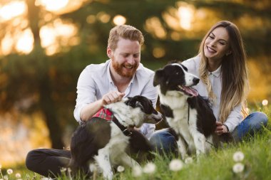 Güzel çift yürüyüş köpekler