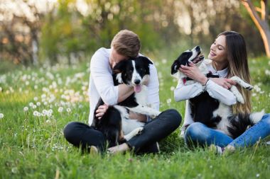 Güzel çift yürüyüş köpekler