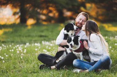 Güzel çift yürüyüş köpekler