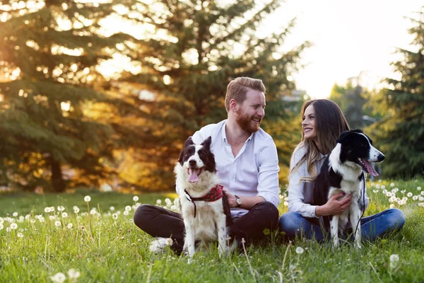 Bonito casal abraçando cães — Fotografia de Stock