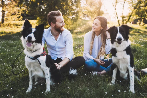 Güzel çift yürüyüş köpekler