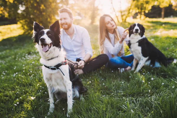 Hermosa pareja paseando perros —  Fotos de Stock