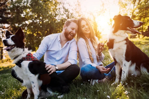 Hermosa pareja paseando perros —  Fotos de Stock