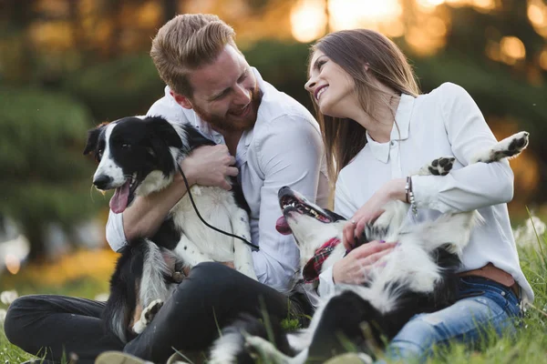 Güzel çift yürüyüş köpekler