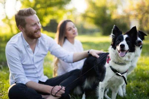 Couple romantique amoureux chiens de promenade — Photo