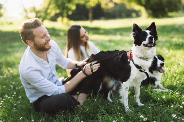 Mooie paar lopen honden — Stockfoto