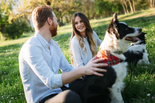 Hermosa pareja paseando perros —  Fotos de Stock