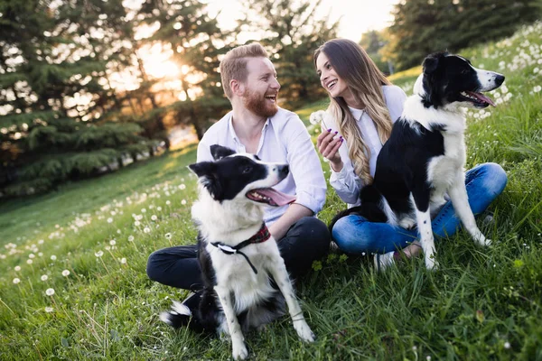 Hermosa pareja paseando perros —  Fotos de Stock