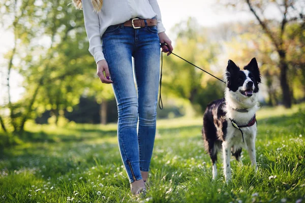 Hermosa mujer paseando lindo perro —  Fotos de Stock