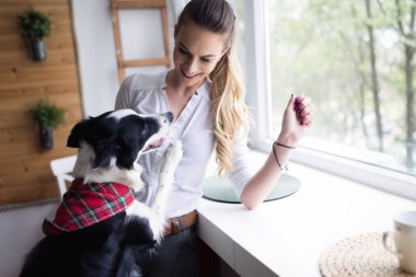 Güzel kadın köpekle oynamayı