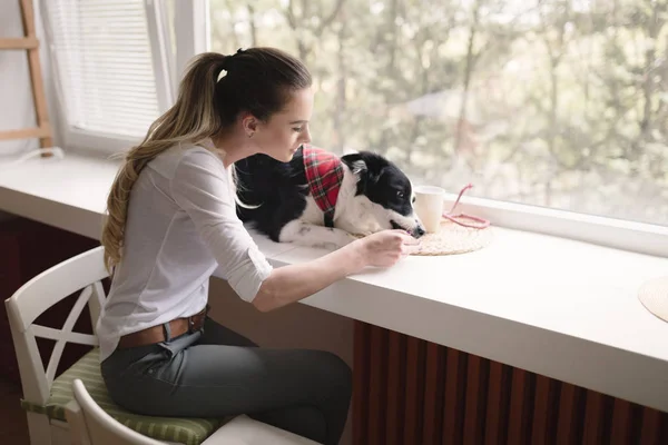 Schöne Frau spielt mit Hund — Stockfoto