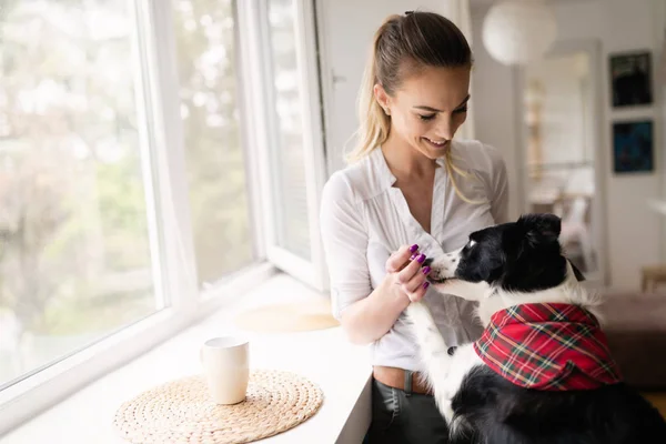 Schöne Frau spielt mit Hund — Stockfoto