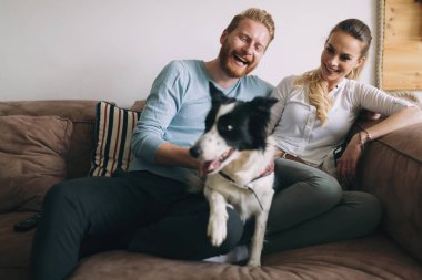 Güzel çift köpek ile rahatlatıcı