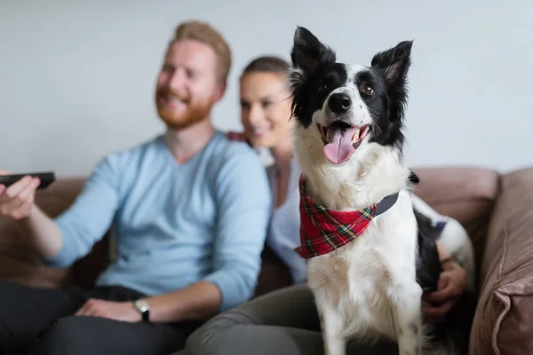 Çift ile onların köpek rahatlatıcı — Stok fotoğraf