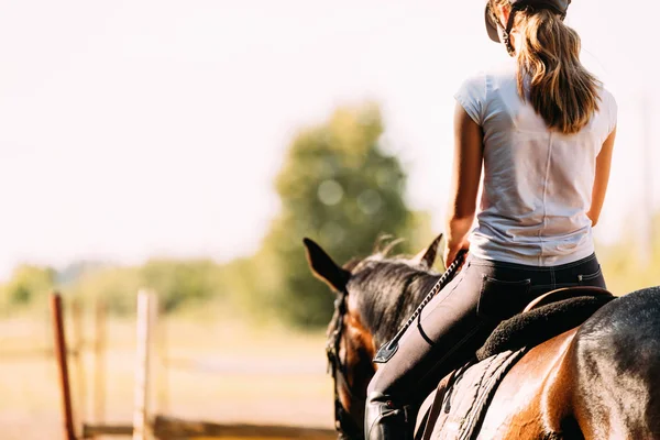 Picture of young pretty girl riding horse — Stock Photo, Image