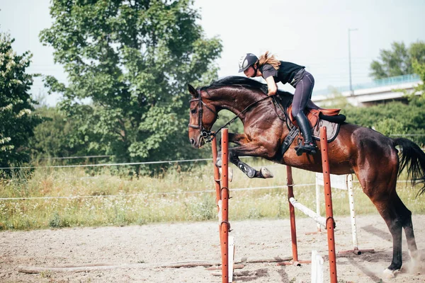 Νέων γυναικών jockey στο άλογο, πηδώντας πάνω από εμπόδιο — Φωτογραφία Αρχείου