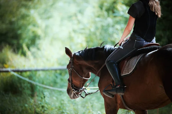Porträtt av ung kvinna rider sin häst — Stockfoto