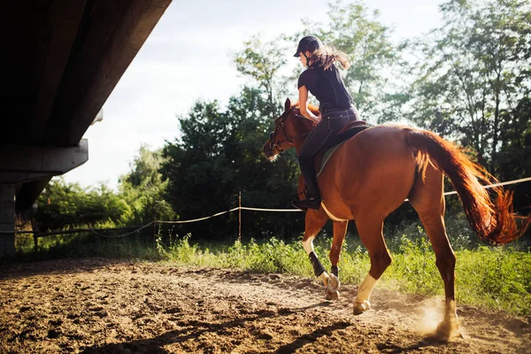 Retrato de una joven montando a caballo en el campo —  Fotos de Stock