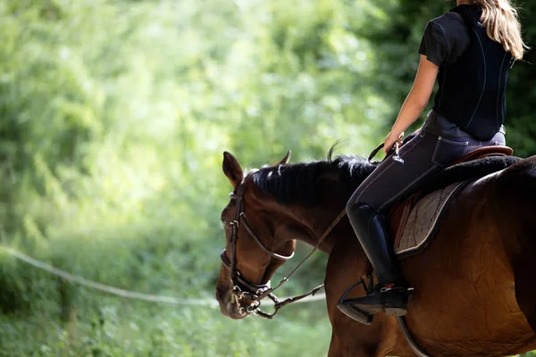 Retrato de jovem montando seu cavalo — Fotografia de Stock
