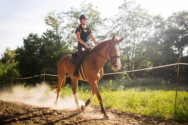 Portrét mladé ženy na koni v přírodě — Stock fotografie