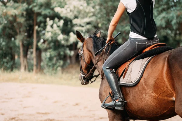 Изображение молодой девушки верхом на лошади — стоковое фото