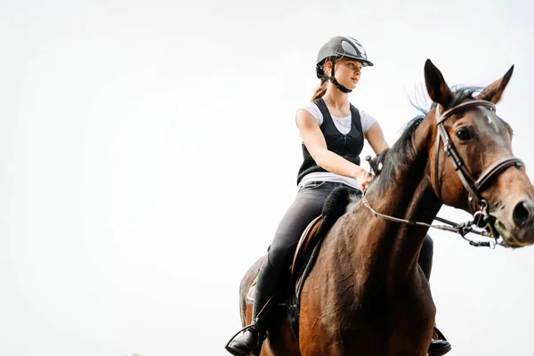 Obrázek mladá dívka na koni — Stock fotografie