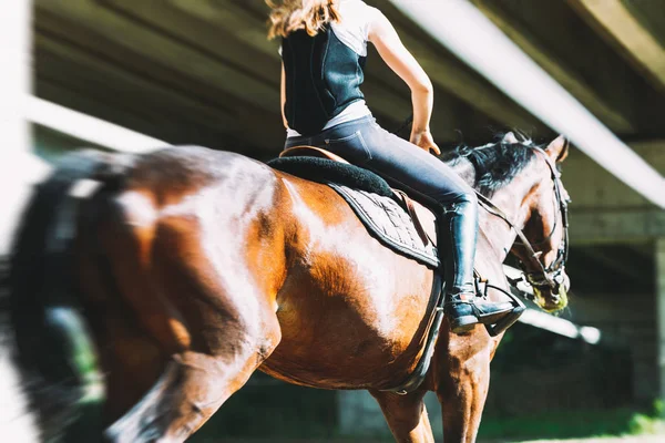 Foto de chica bonita joven cabalgando caballo — Foto de Stock