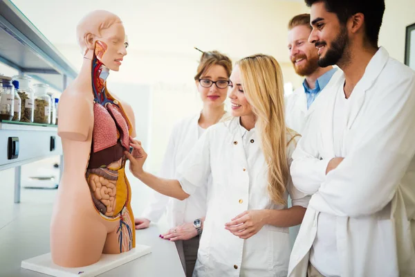 Estudantes de medicina examinando modelo anatômico em sala de aula — Fotografia de Stock