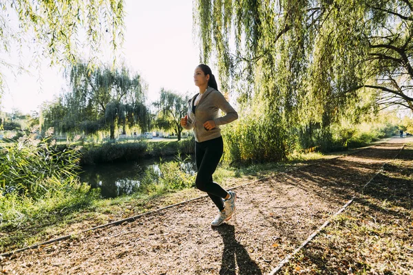 zaprawa murarska siedzi