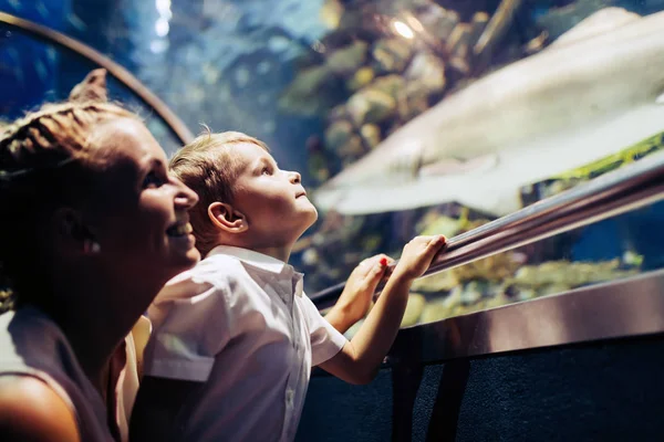 Moeder en zoon kijken zeeleven — Stockfoto
