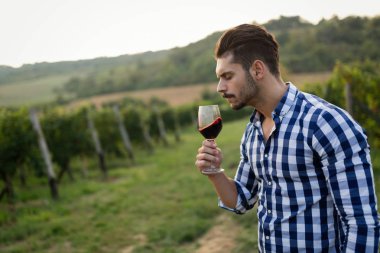 Şarap üreticisi Üzüm bağında şarap tadıyor