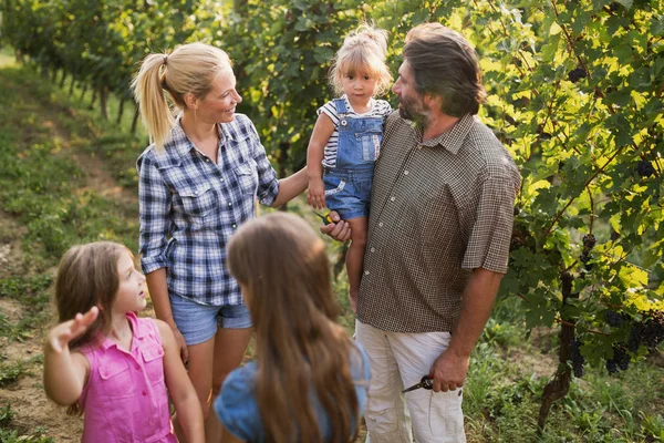 Winemaker ailenin bir arada bağ içinde