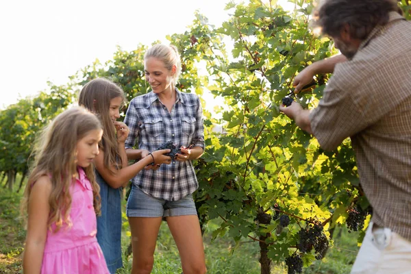 Keluarga Winemaker bersama-sama di kebun anggur — Stok Foto