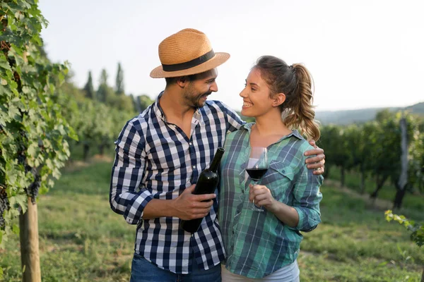 Пара в винограднику перед збиранням — стокове фото