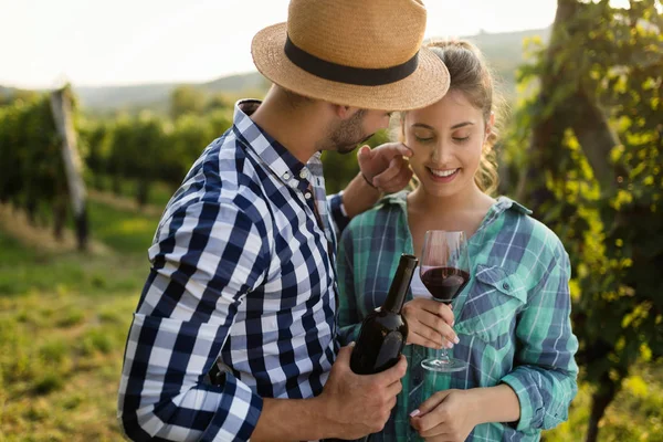 Üzüm hasat önce mutlu çift