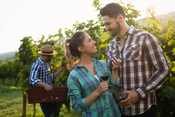 Degustazione e degustazione vini in vigna — Foto Stock