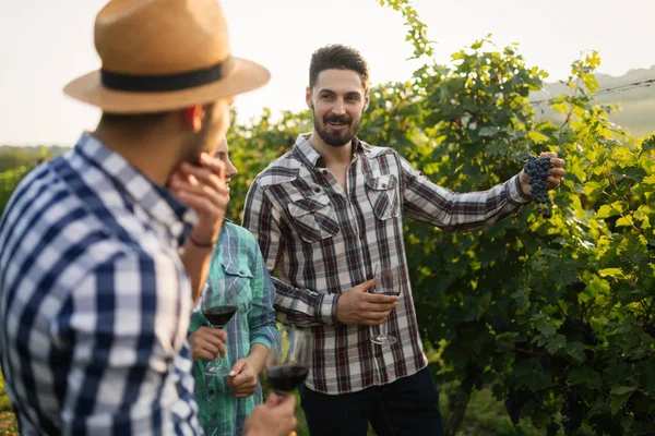 Şarap üretici ve bağ insanlarda