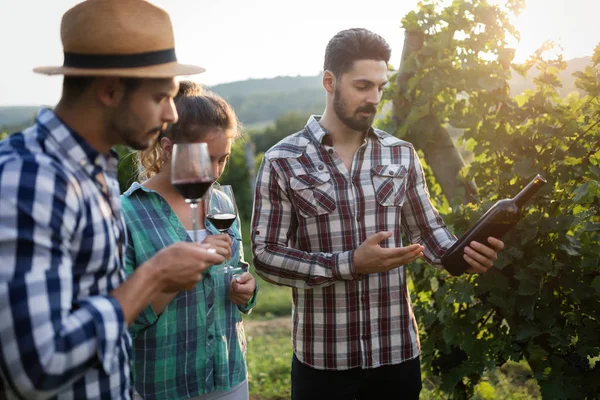 Szőlész és az emberek a vineyard — Stock Fotó