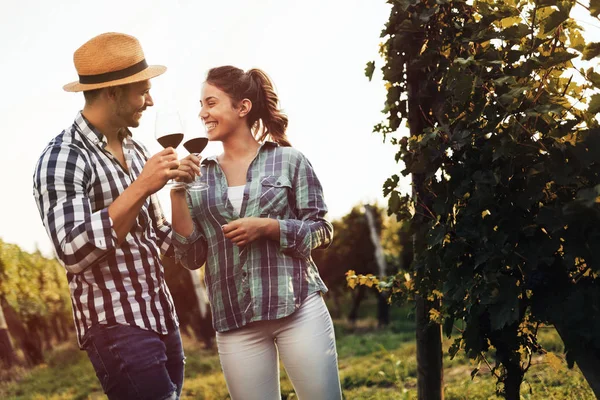 İnsanlar üzüm bağında şarap tadıyor.