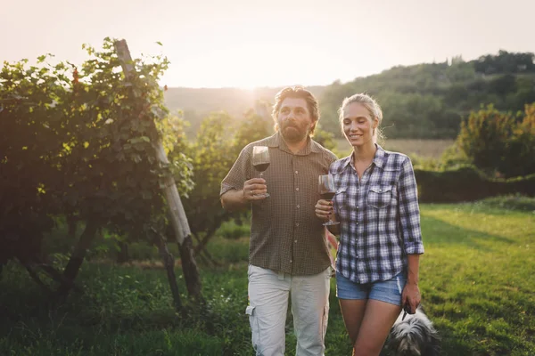 Coppia in vigna prima della vendemmia — Foto Stock