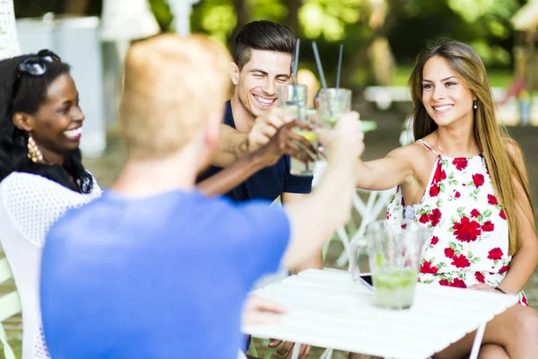 Vrolijke gelukkige mensen roosteren — Stockfoto