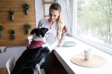  Onu mutlu köpek kadınla